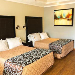 Comfort Double or Twin Room